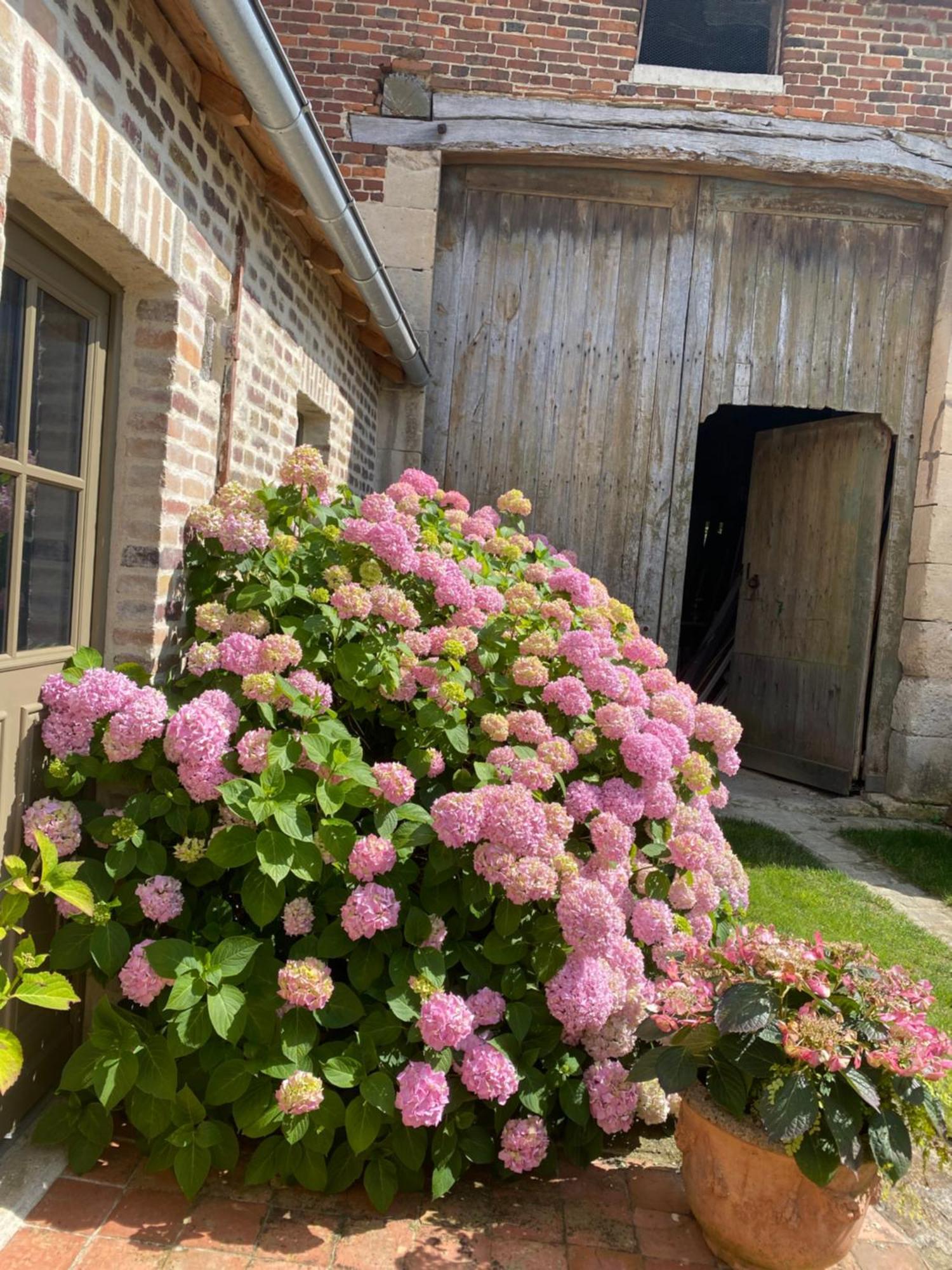 Les Hortensias Canly Esterno foto